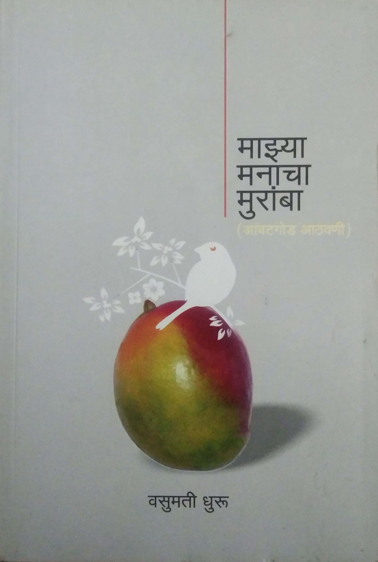 MAZYA MANACHA MURAMBA  by DHARU VASUMATI