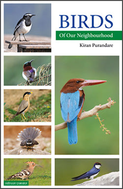 Birds of Our Neighbourhood  BY  Kiran Purandare