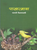 Pakharamaya By Chitampally Maruti