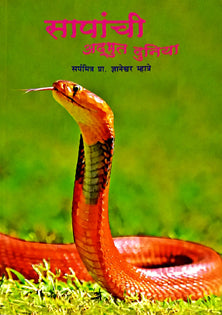 Sapanchi Adabhut Duniya     By Mhatre Dnyaneshwar