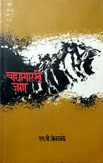 Vaghasarakhe Jaga  By Sontakke L G