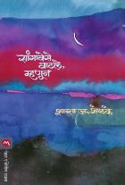 SANGAVESE VATLE MHANUN  BY  SHANTA J SHELAKE