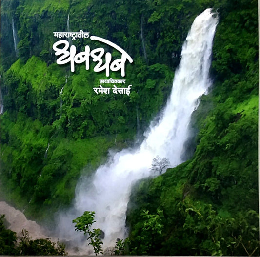 Maharashtratil Dhabadhabe by Desai Ramesh